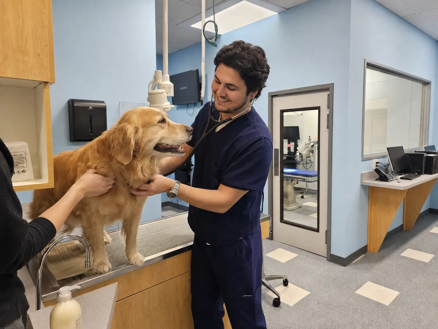 Dr. Ryan McNamara examining a relaxed dog in exam room